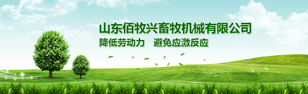 豬場自動化料線